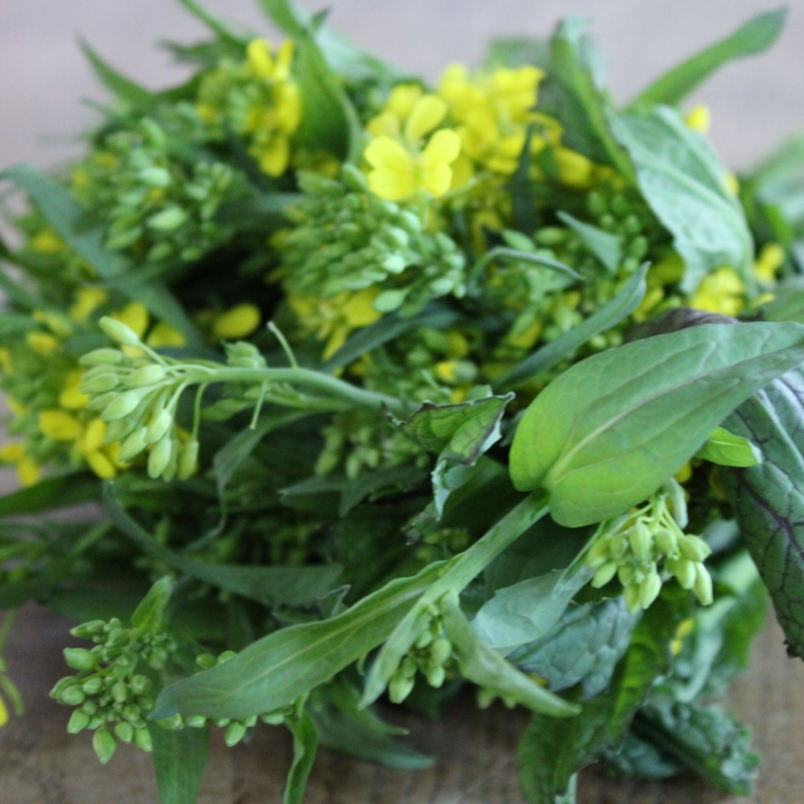 Mustard rabe