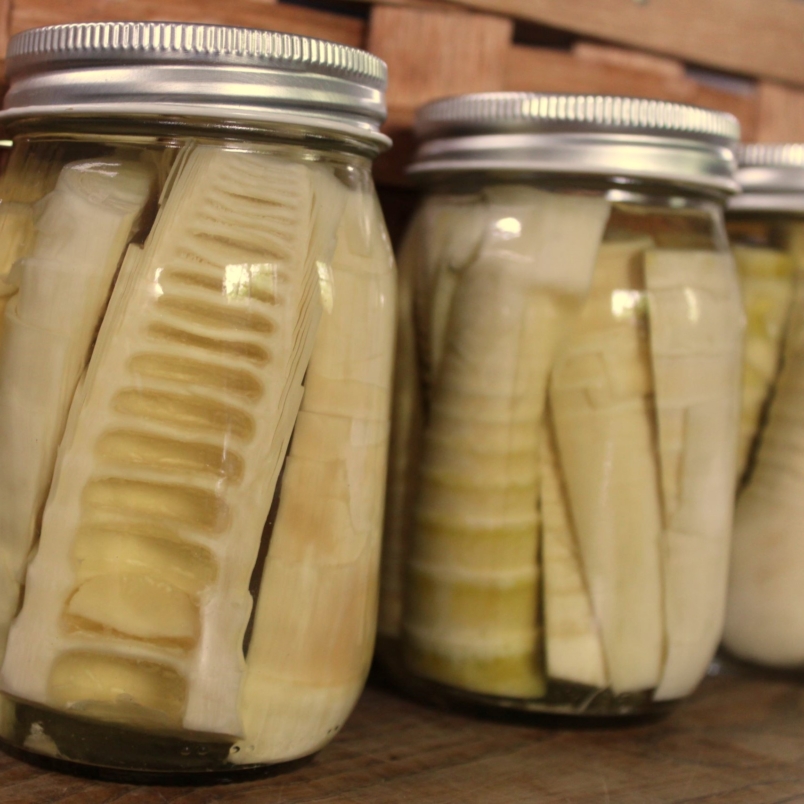 Pickled bamboo shoots