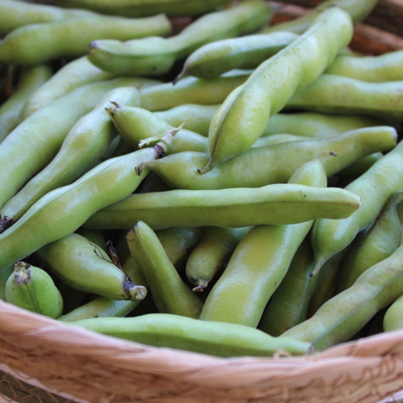 Fava beans