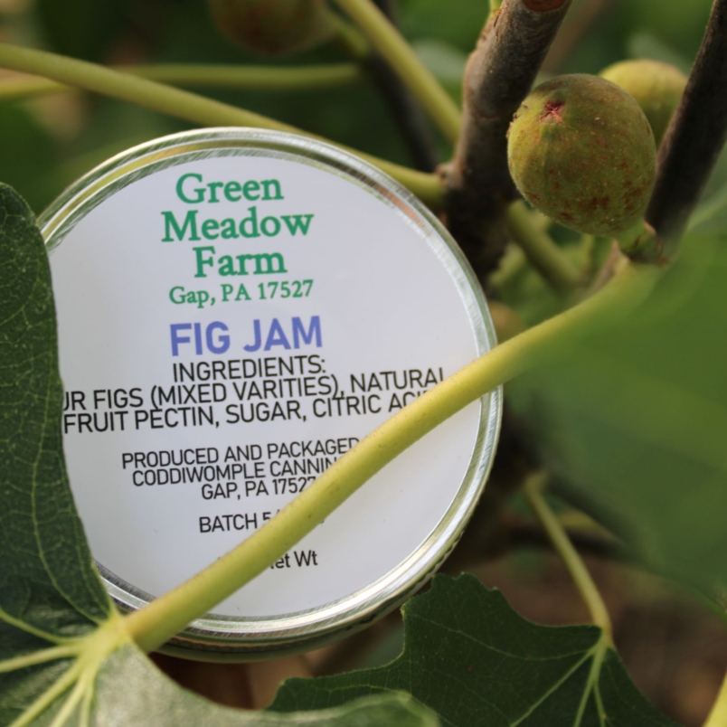 Fig jam