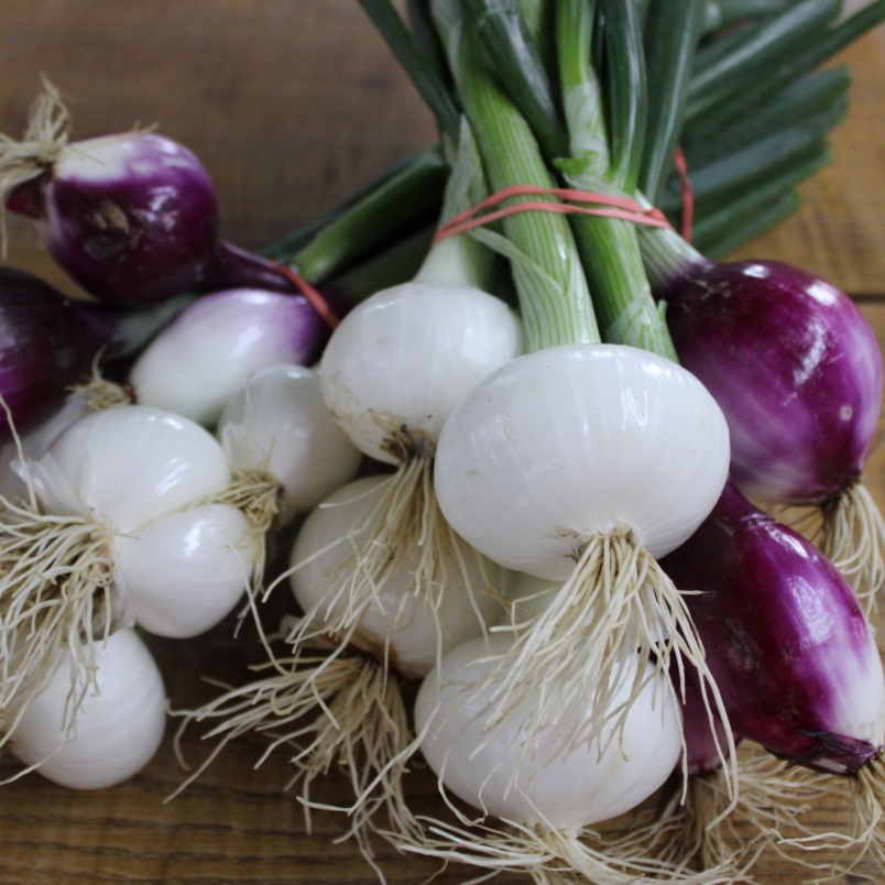 Spring onions