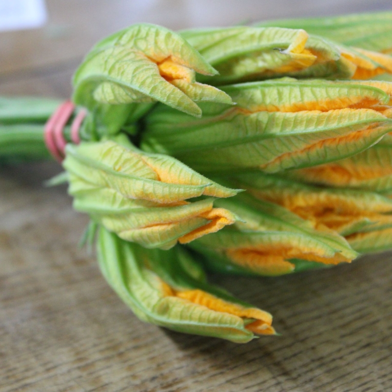 Zucchini blossoms