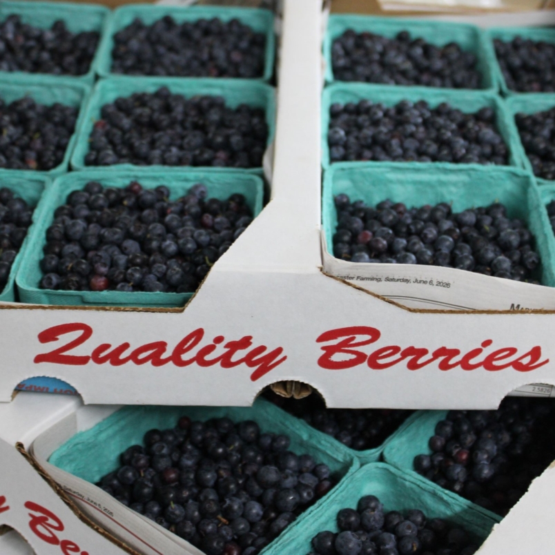Blueberries