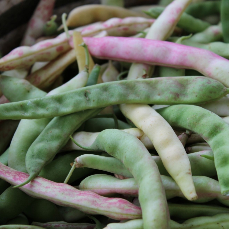 Mixed shell beans