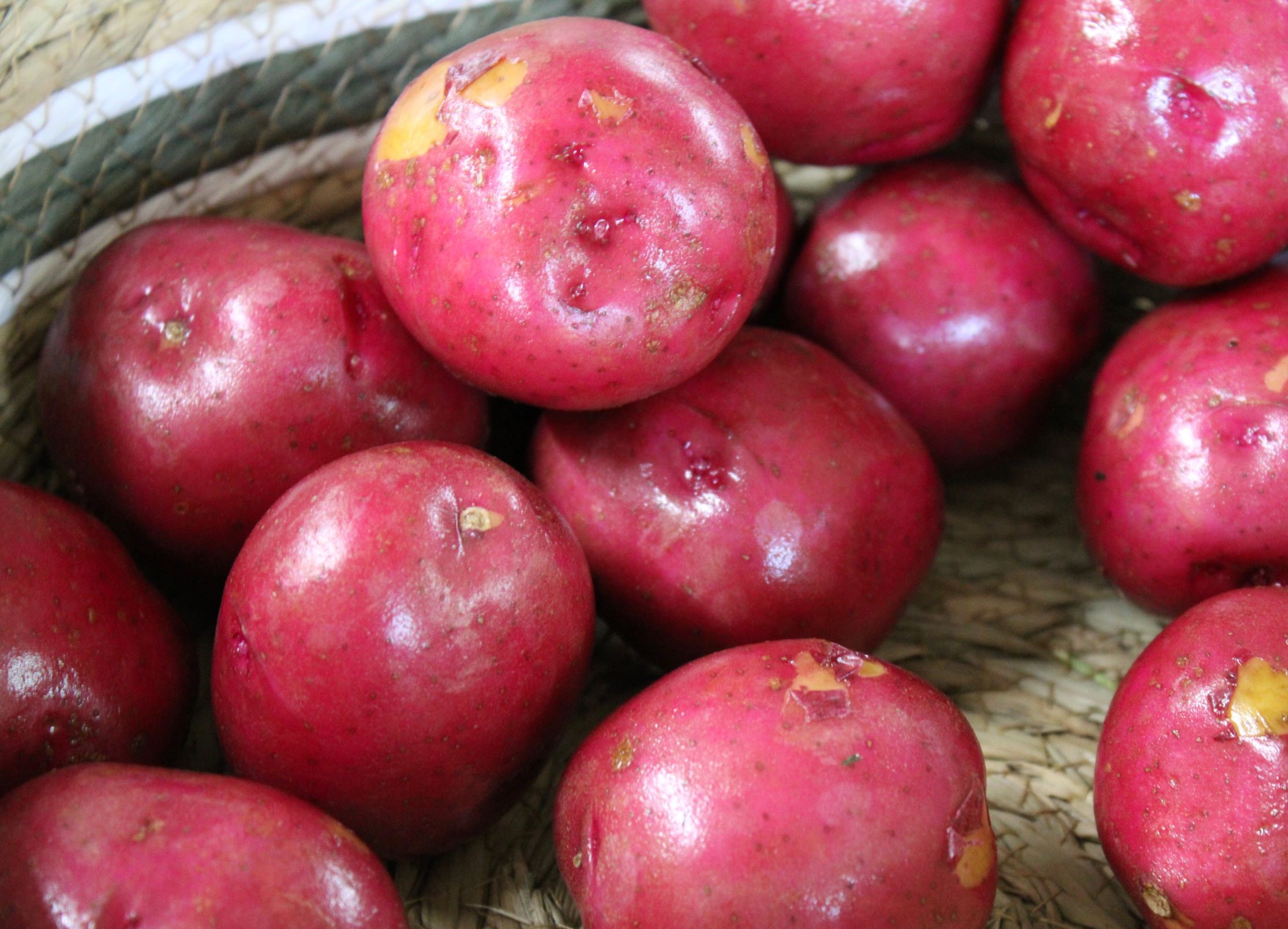 red potatoes Red potatoes
