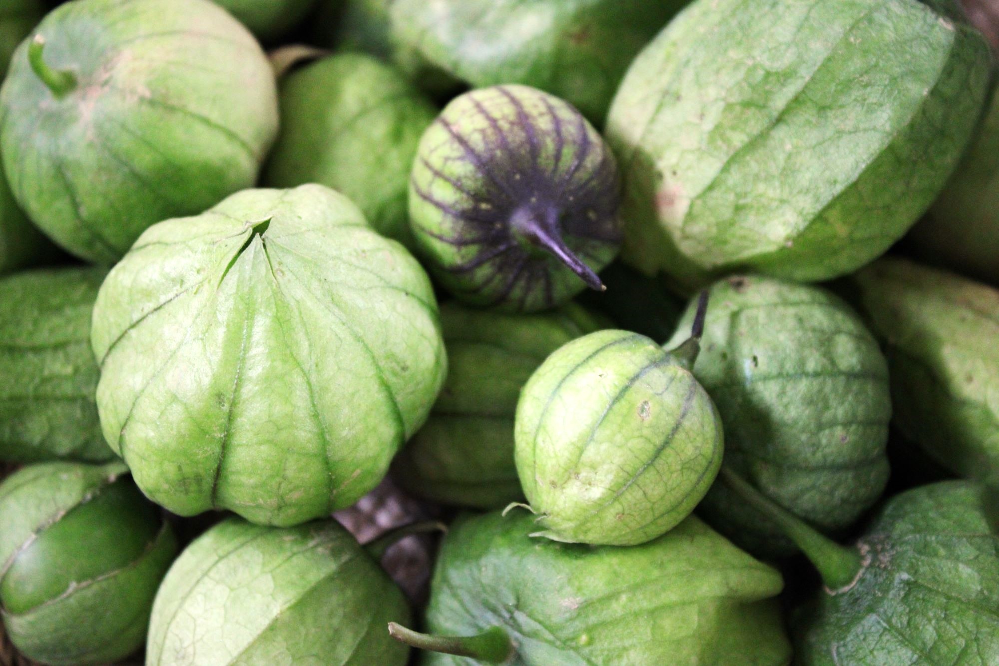 tomatillos Tomatillos