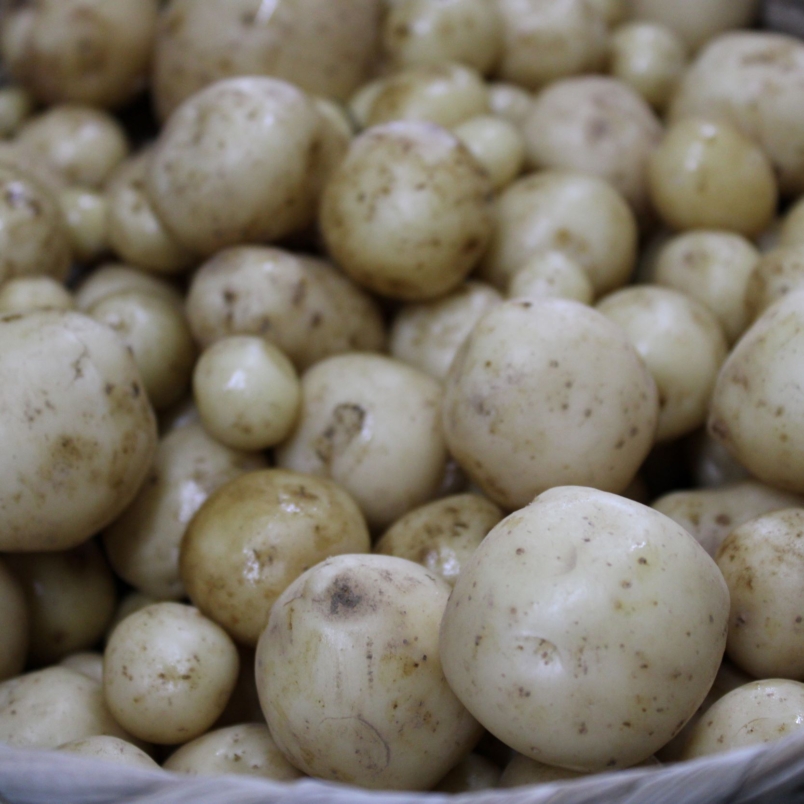 Field run potatoes