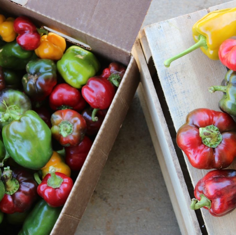 Mixed bell peppers