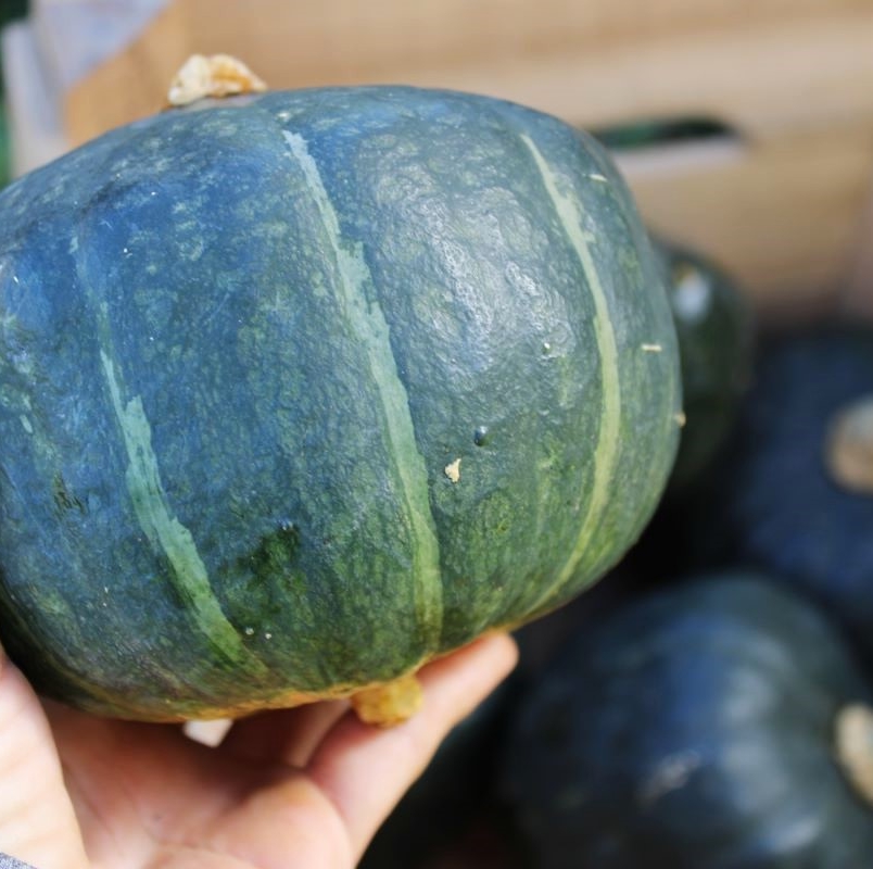 Kabocha squash